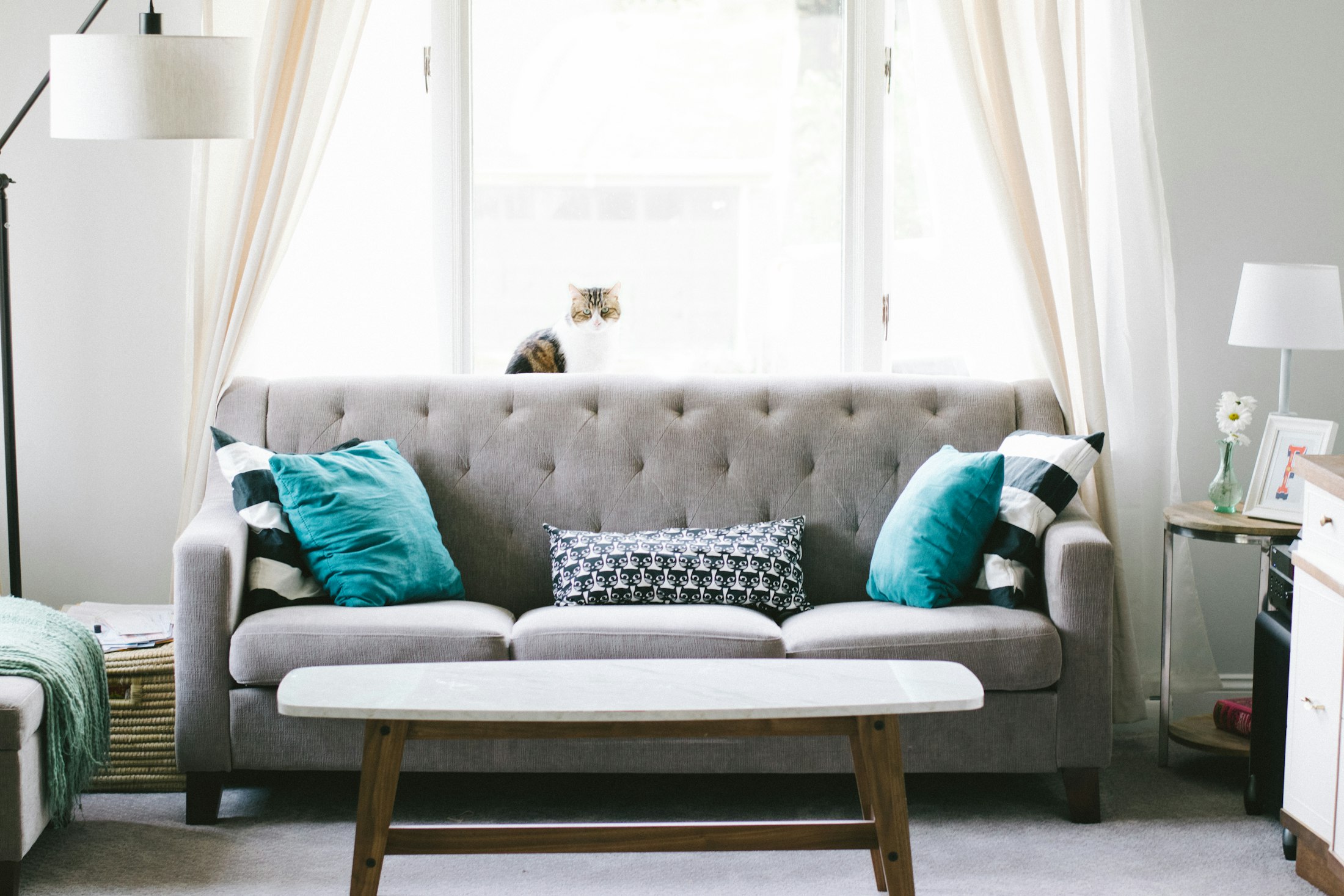 Comfortable living room with sofa and daylight